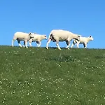 Wohlfuehl Oase * Horumersiel